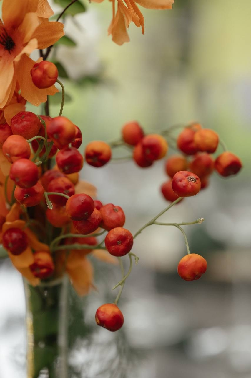 Осенний декор. Подрядчики и друзья сети свадебных площадок House for wedding