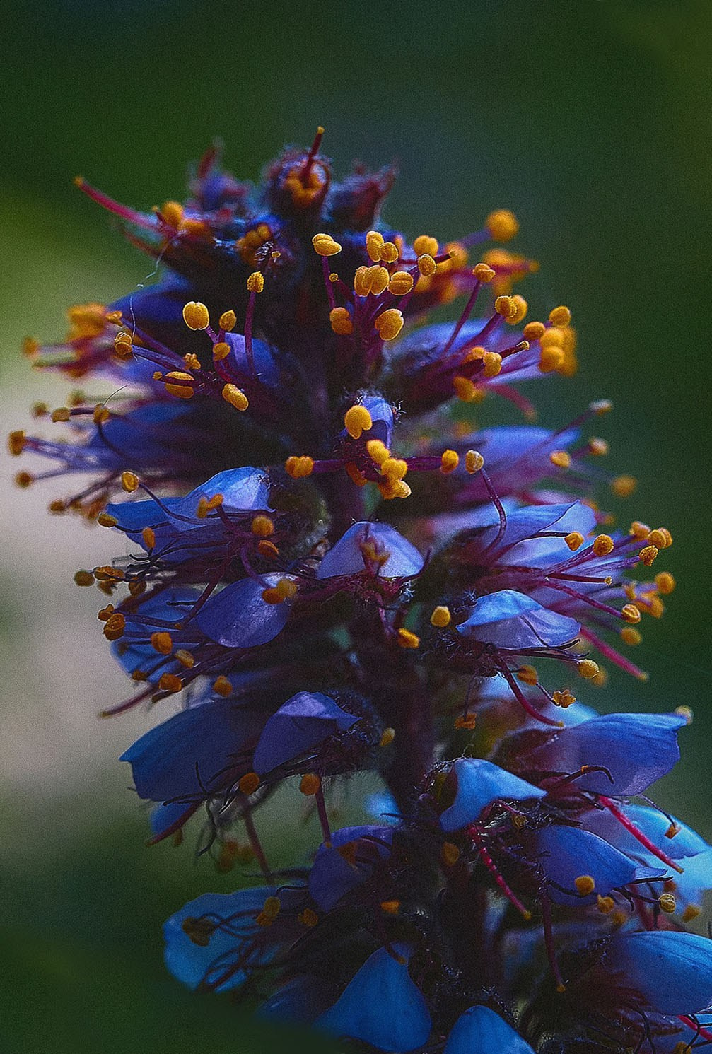 Международная онлайн-фотошкола Сергея Рожнова