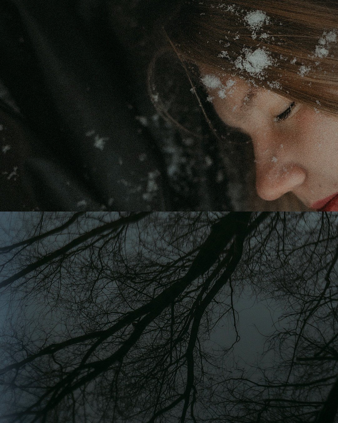 Альбина и Амелия. Фотограф анималист в Москве и Санкт-Петербурге Свиридова Анна