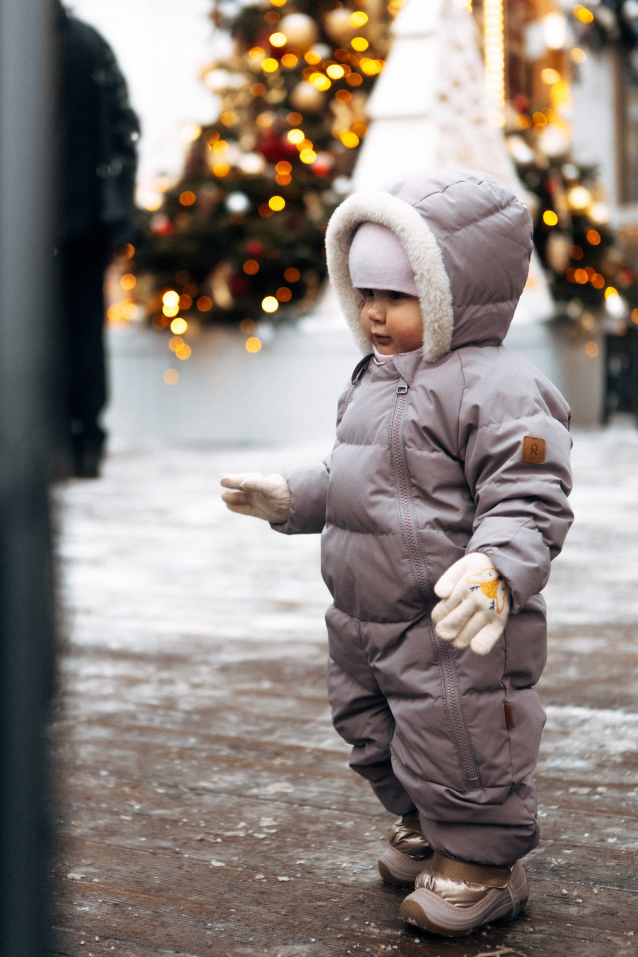 Московские сезоны. Фотограф Владимир Молоканов