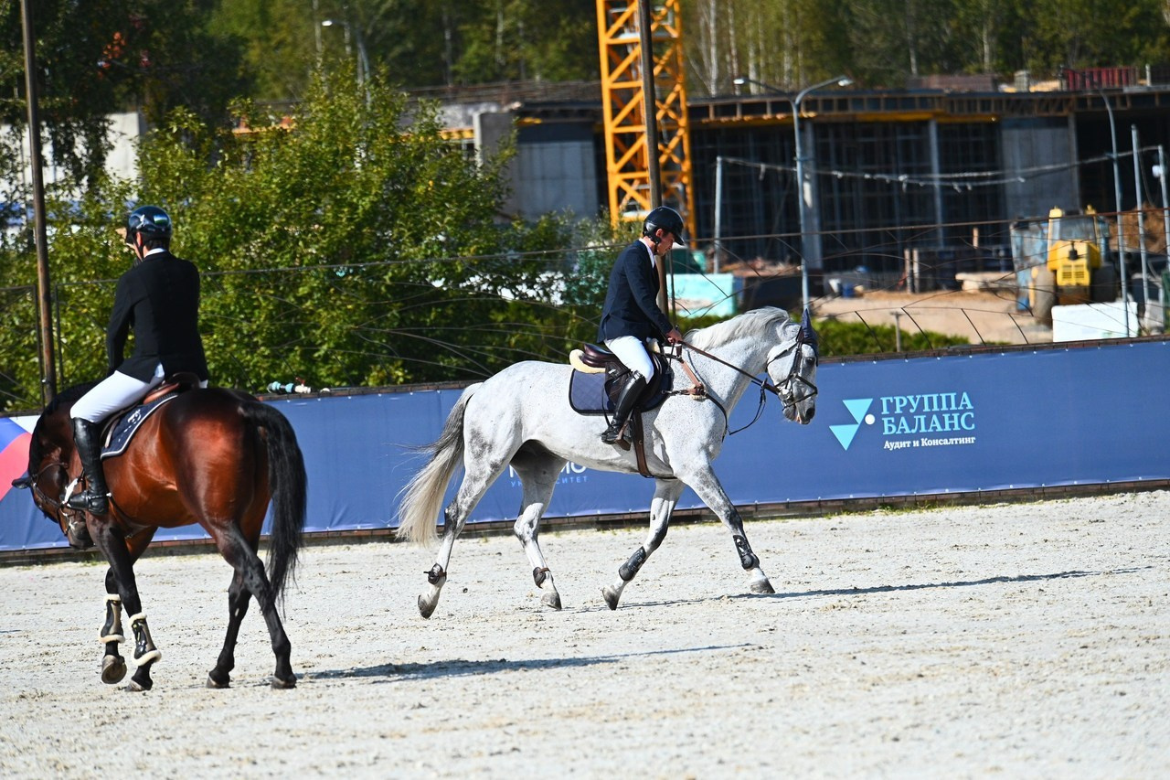 Отзывы. ТУРНИРНАЯ КОННАЯ ФОТОГРАФИЯ, Руднева Ольга и Евгений Адеев