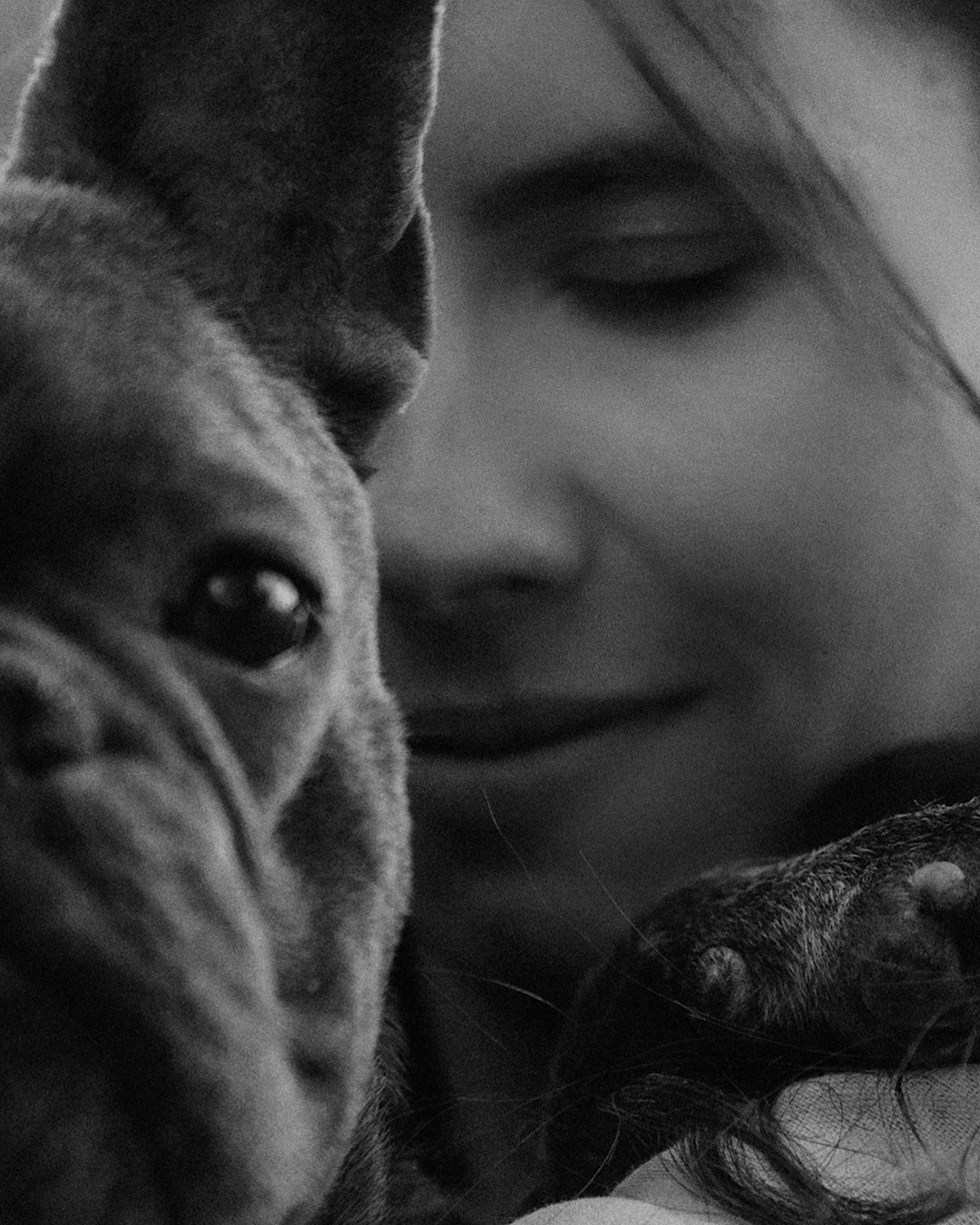 Аня и Чак. Фотограф анималист в Москве и Санкт-Петербурге Свиридова Анна