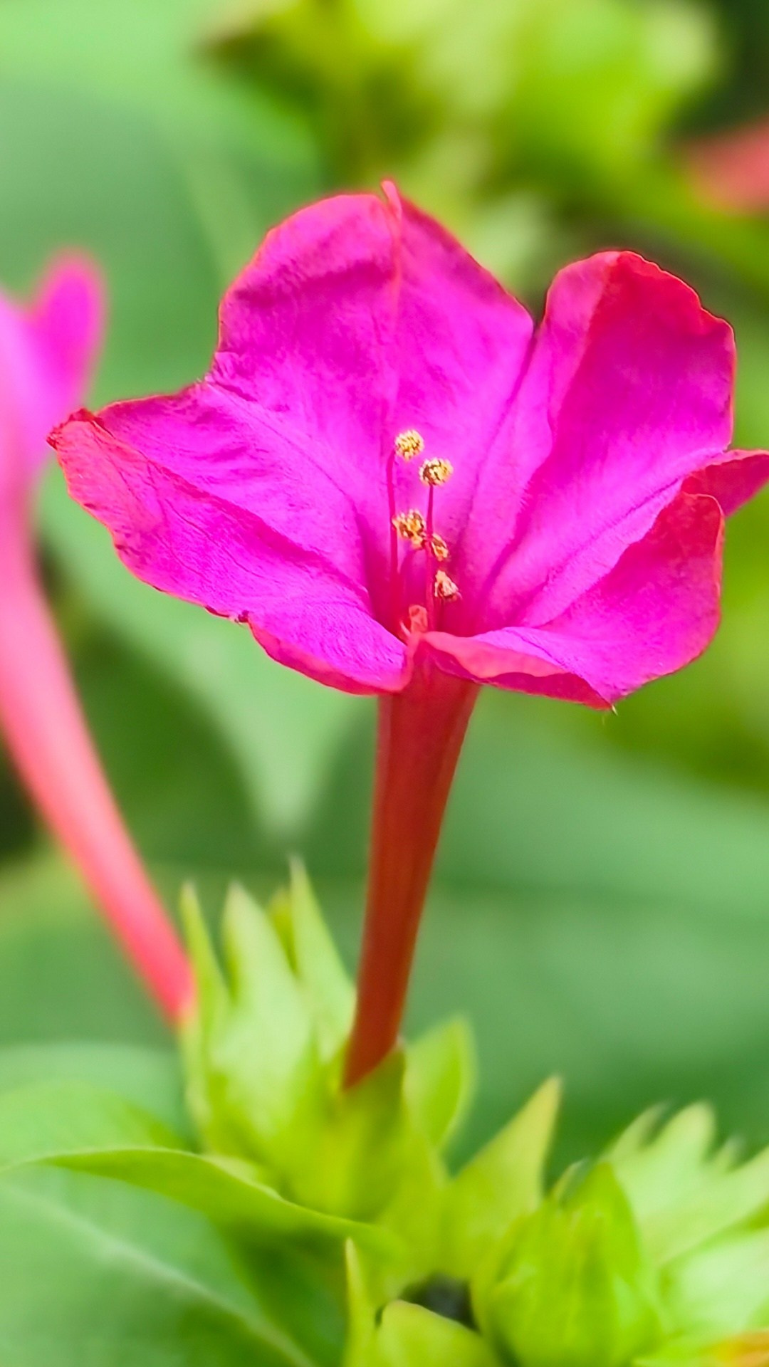 Академия фотографии. Фото/Ретушь/Обучение