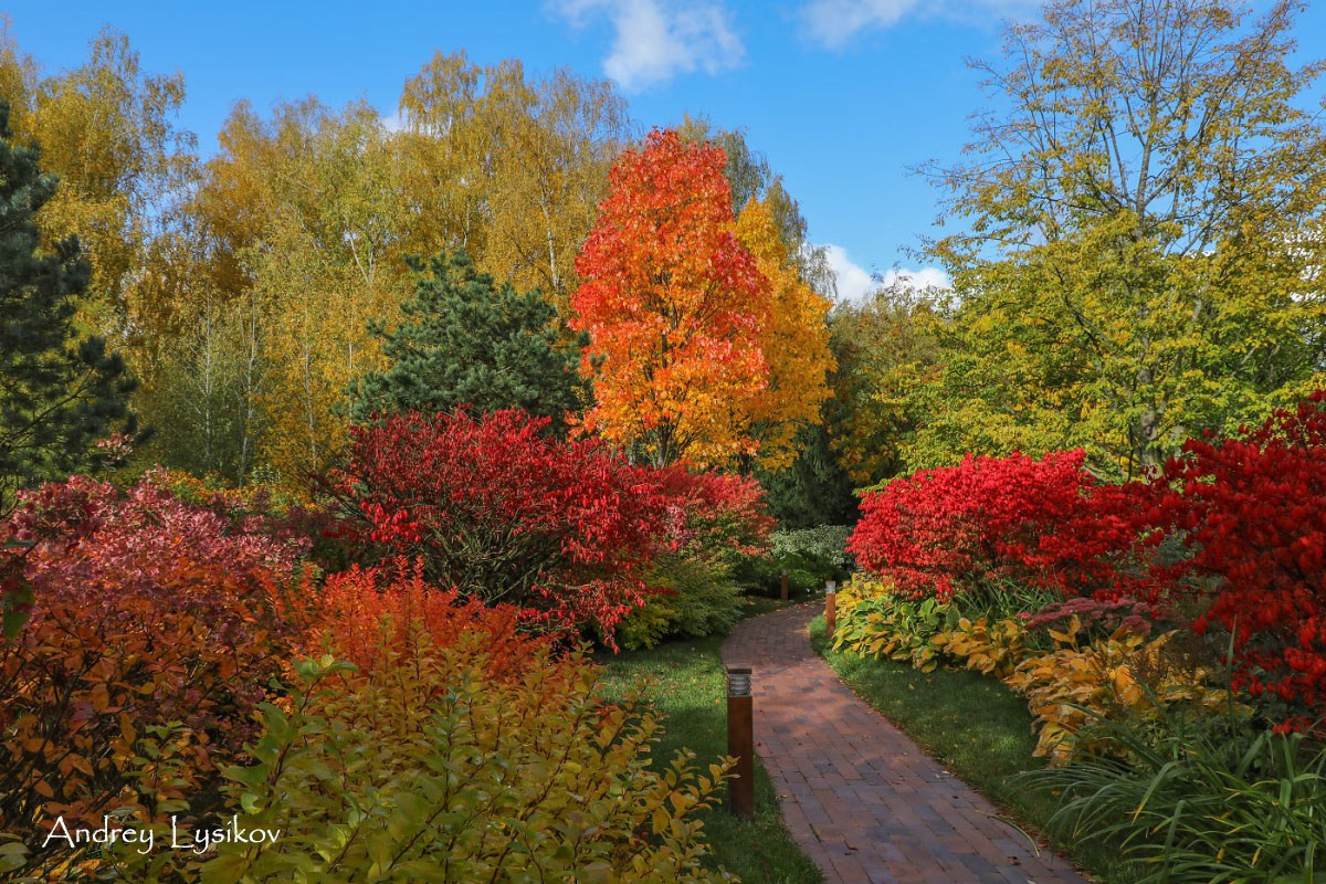 Сады. Ландшафтный фотограф Андрей Лысиков, Москва