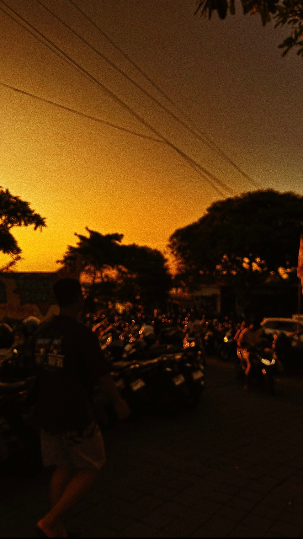 SOMEWHERE. Carolinetru