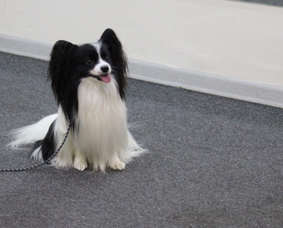 Репортаж УС «ДЦ Ральф». Катя Попова|ЛайфСтайл фотограф