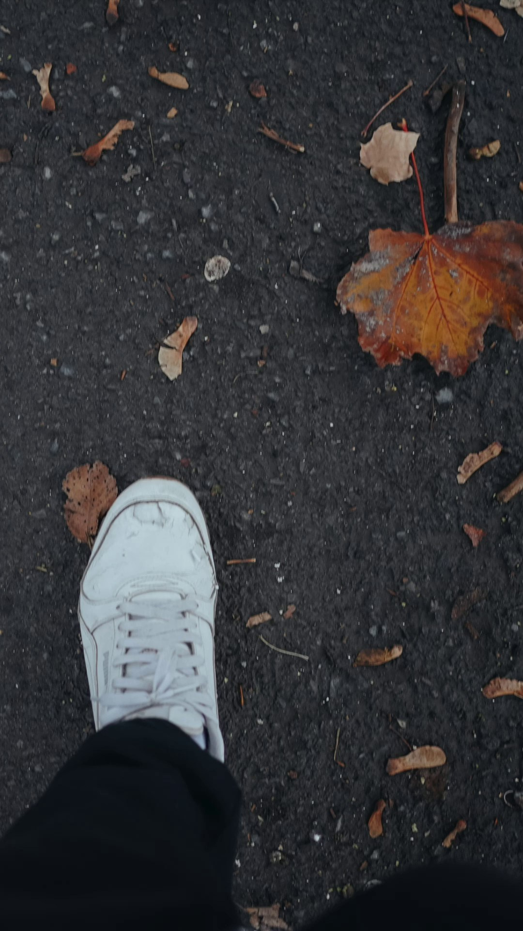 Волгодонск. Андрей Сливенко. Свадебный фотограф и видеограф в Волгодонске и Ростове-на-Дону