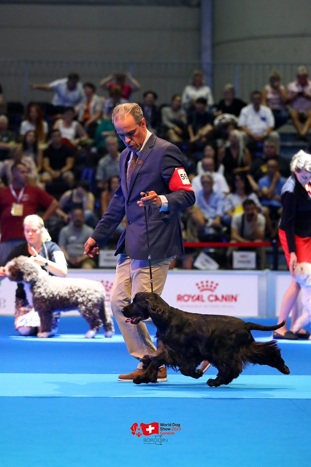 24-27.08.2023 WDS Geneva. Фотограф Дмитрий Бородин