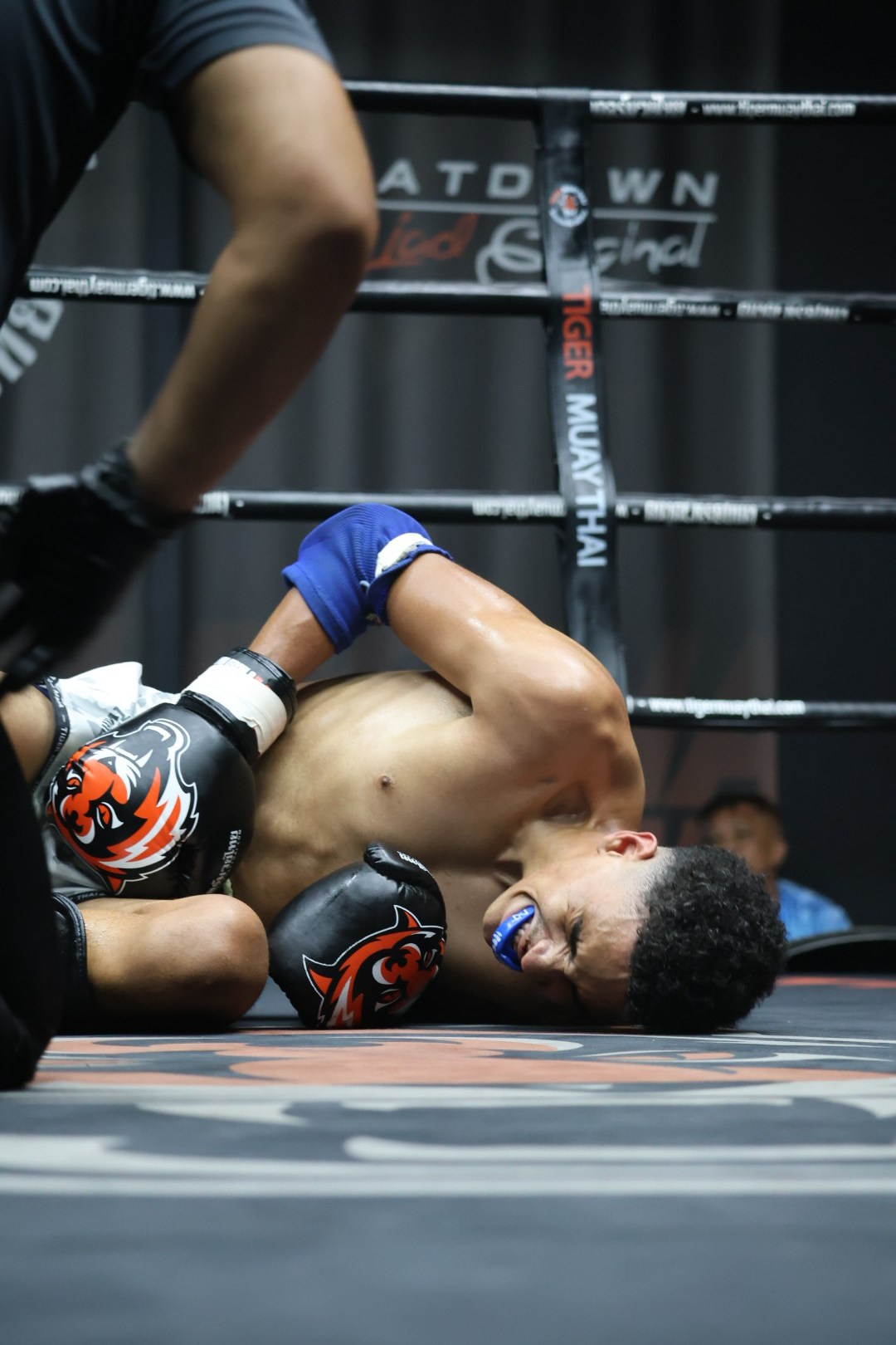 тайский бокс муай тай