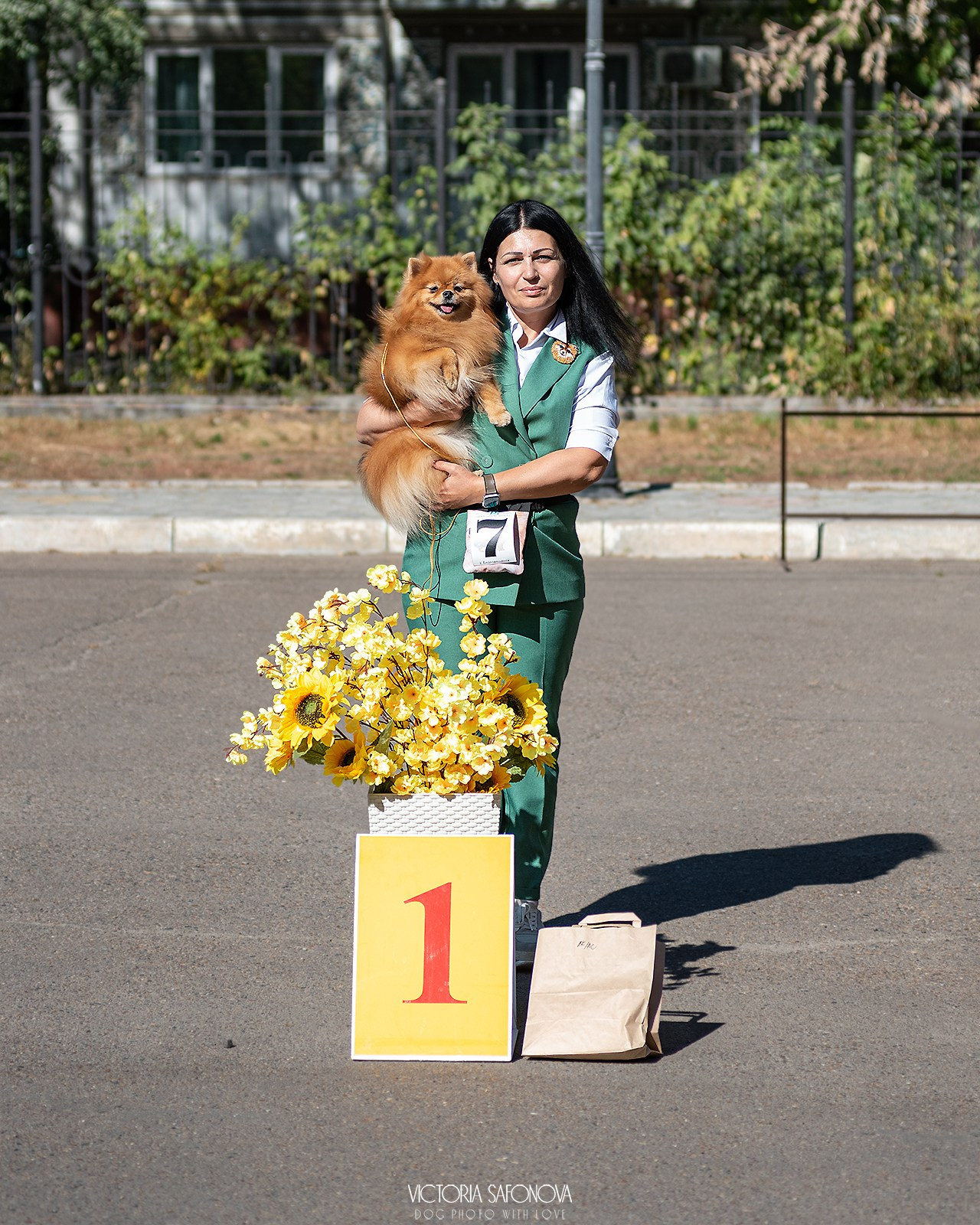 15 сентября 2024. Благовещенск. Монопородная выставка шпицев. Фотограф анималист Благовещенск. Сафонова Виктория