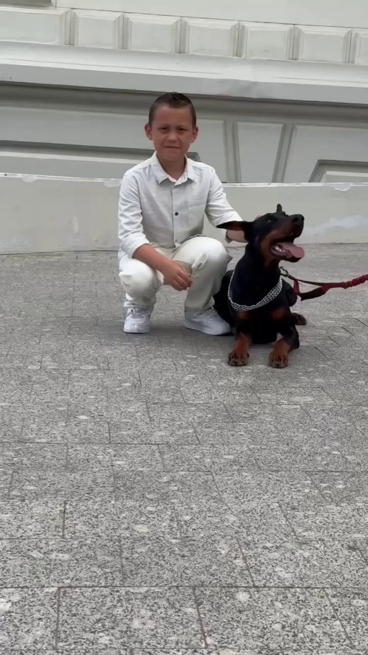 ФОТОПРОЕКТ Доберман-сессия. Свадебный и семейный фотограф в Рязани Датская Ксения