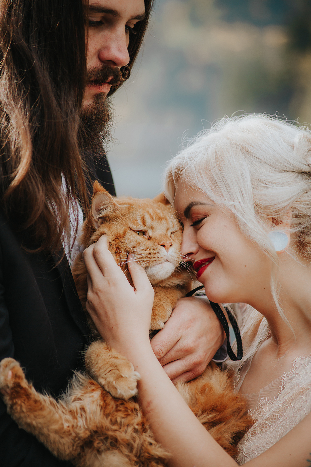 СВАДЬБА КОТОВ. СВАДЕБНЫЙ ФОТОГРАФ НАТАЛИКА