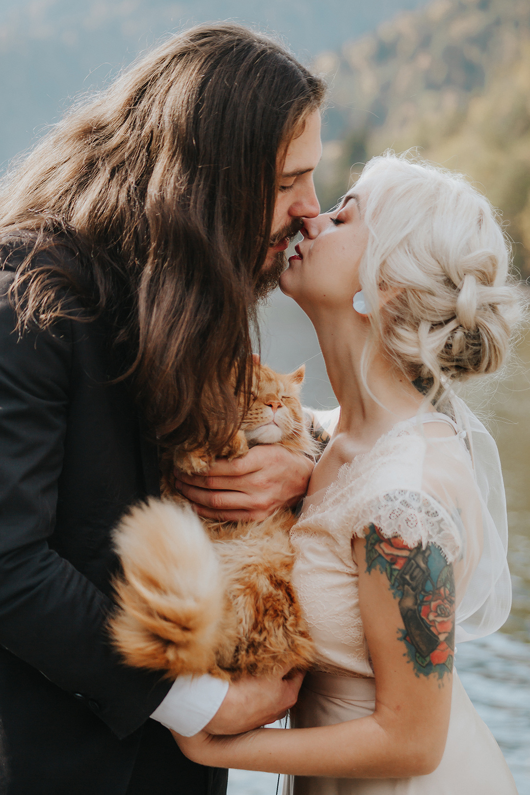 СВАДЬБА КОТОВ. СВАДЕБНЫЙ ФОТОГРАФ НАТАЛИКА