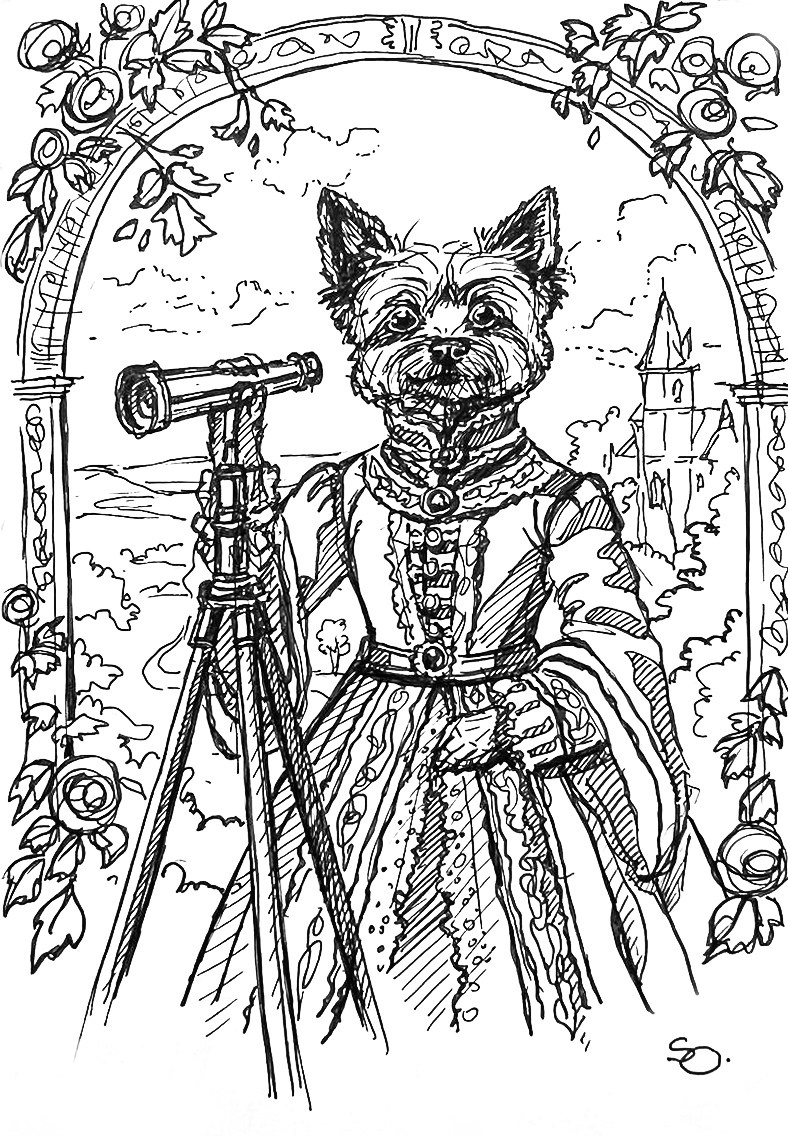 Иллюстрация. Иллюстратор, Фотограф, Теддист Ольга Сальманович