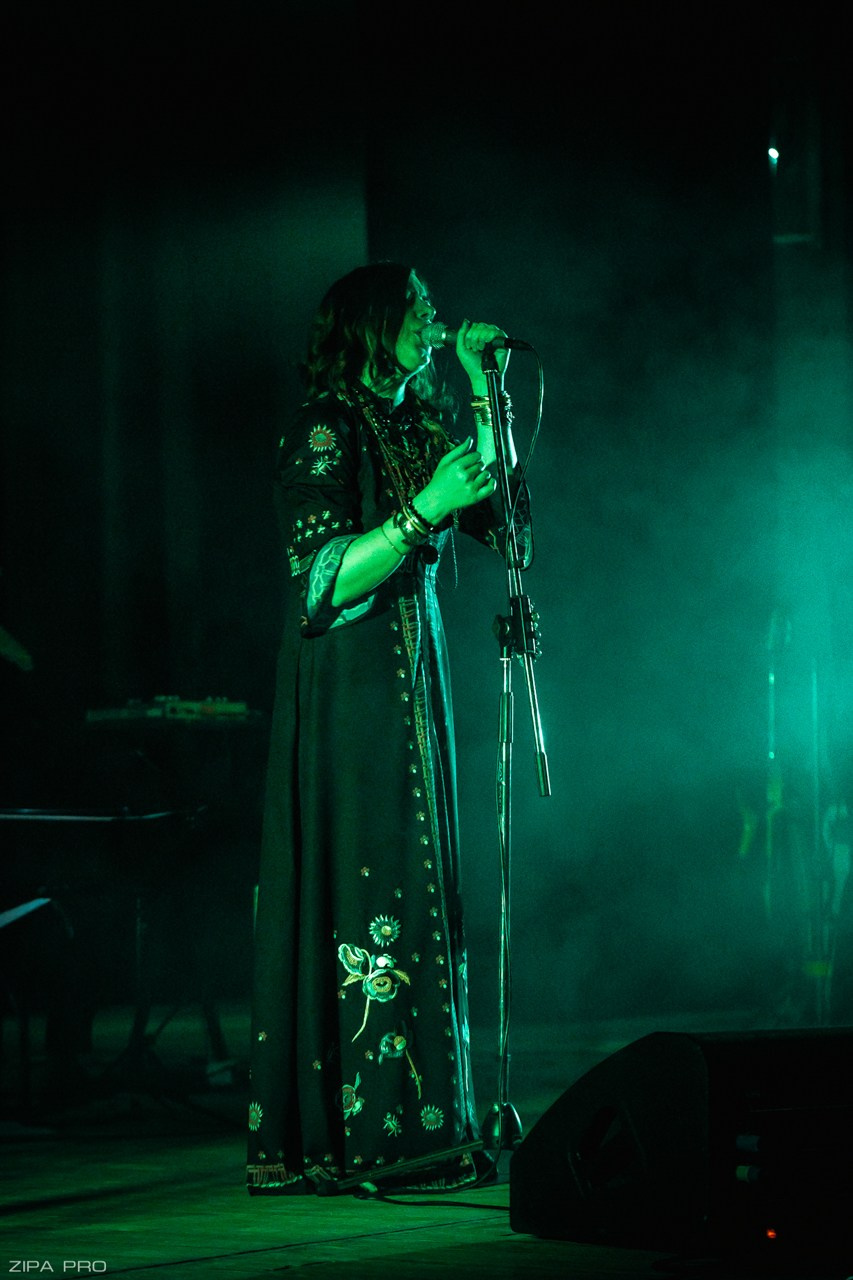 Концерт гр. «Theodor Bastard». Фотограф Zipa Pro