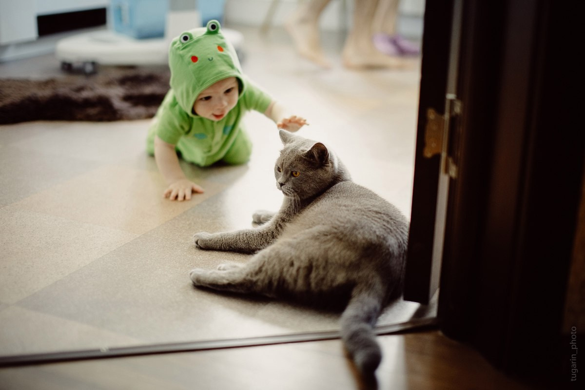 Семья и дети. Портретный и концертный фотограф в Москве Тугарин Александр