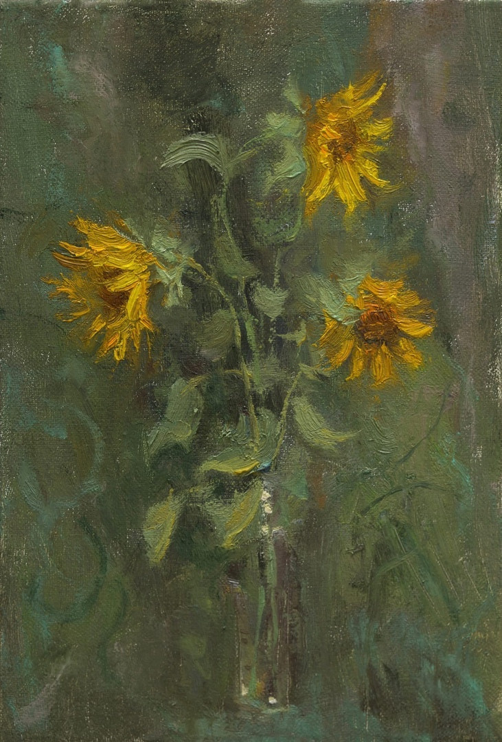 молодые подсолнухи