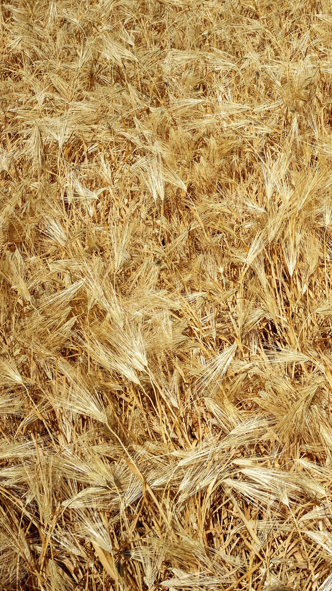 Обои — Текстуры. Яркие фото на Чёрном море