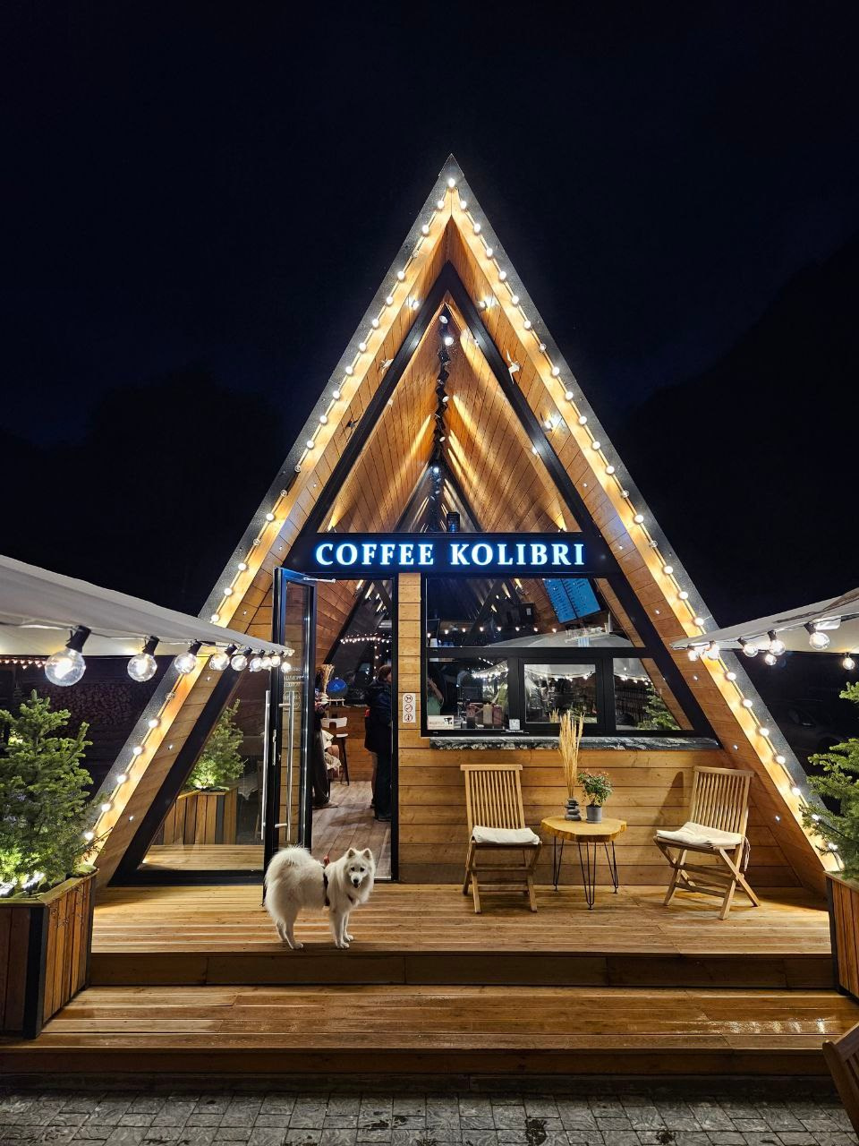 Намобилкус кавказский. Репортажный фотограф Алексей Пирязев