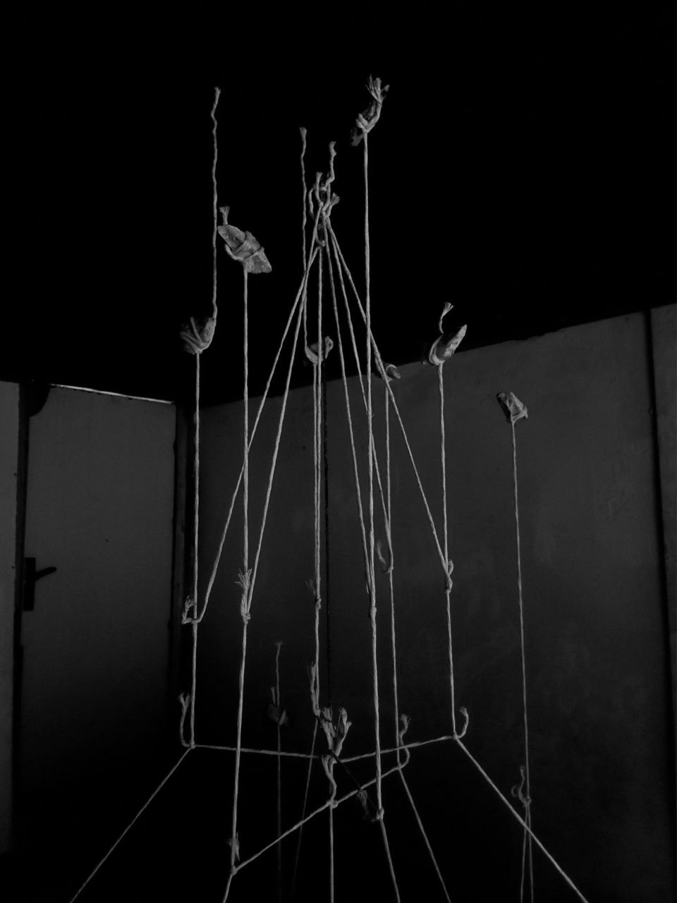 Язык птиц. Данил Андреев, мультидисциплинарный художник, Санкт-Петербург