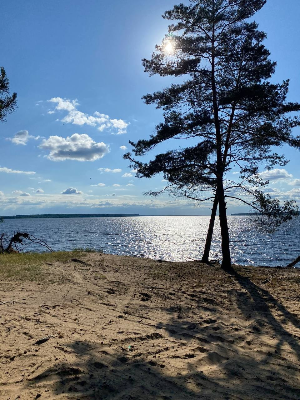 Беседки. Добро пожаловать в Кемпинг — уникальное место для отдыха на лоне природы!
