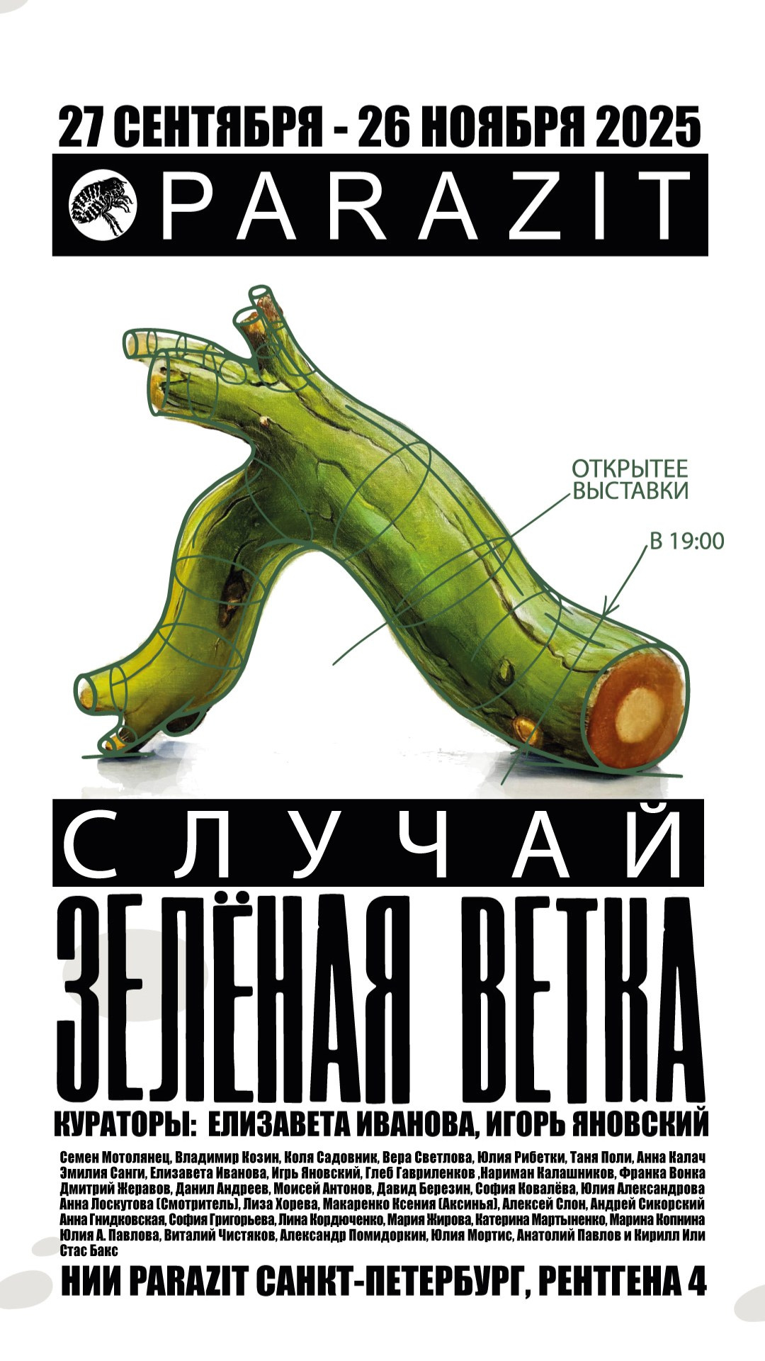 Случай: Зеленая ветка. Елизавета Иванова — независимый куратор, культуролог, исследователь художественных практик, художник