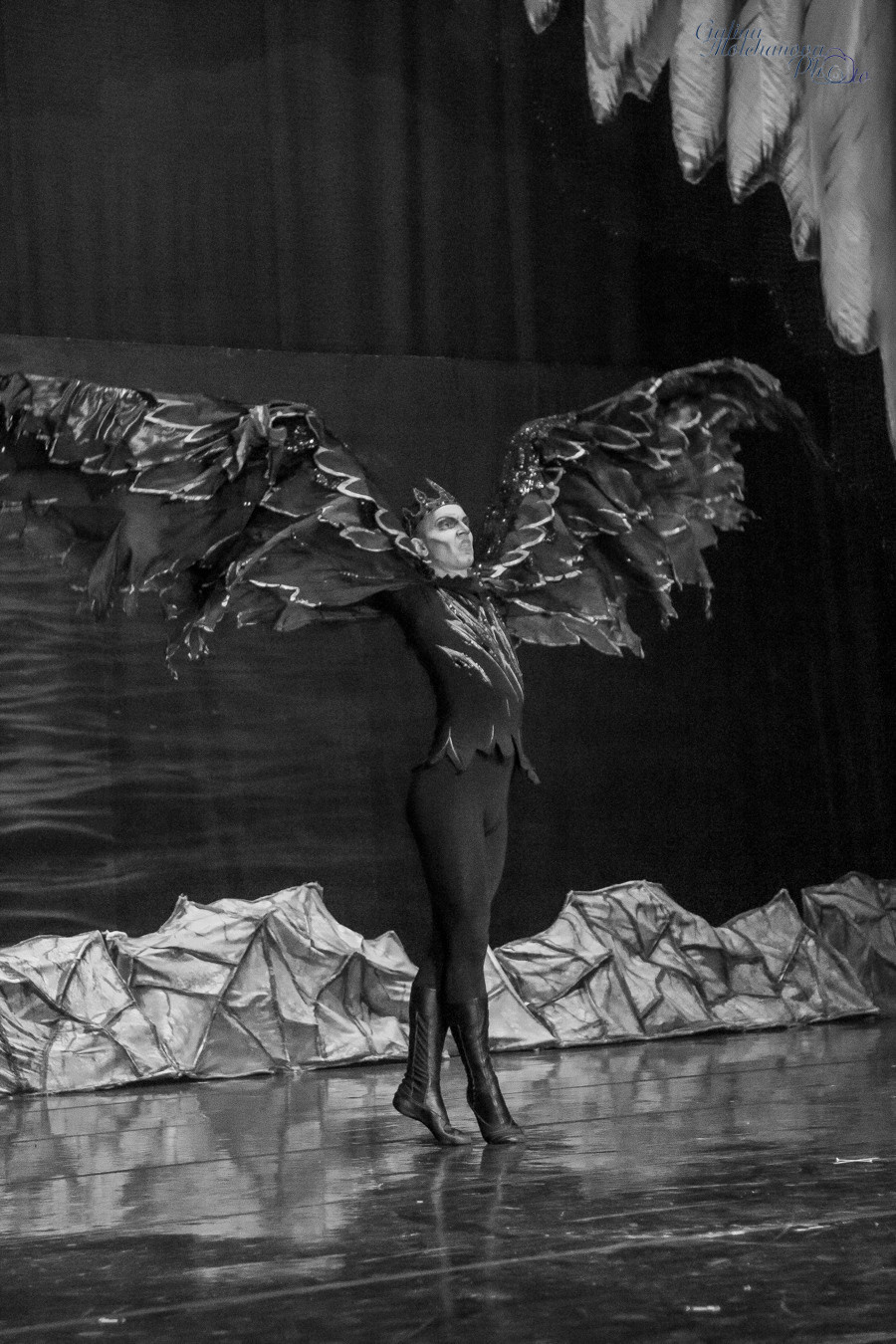 Летние Балетные Сезоны. Лебединое Озеро. Балетный фотограф в Москве Галина Молчанова