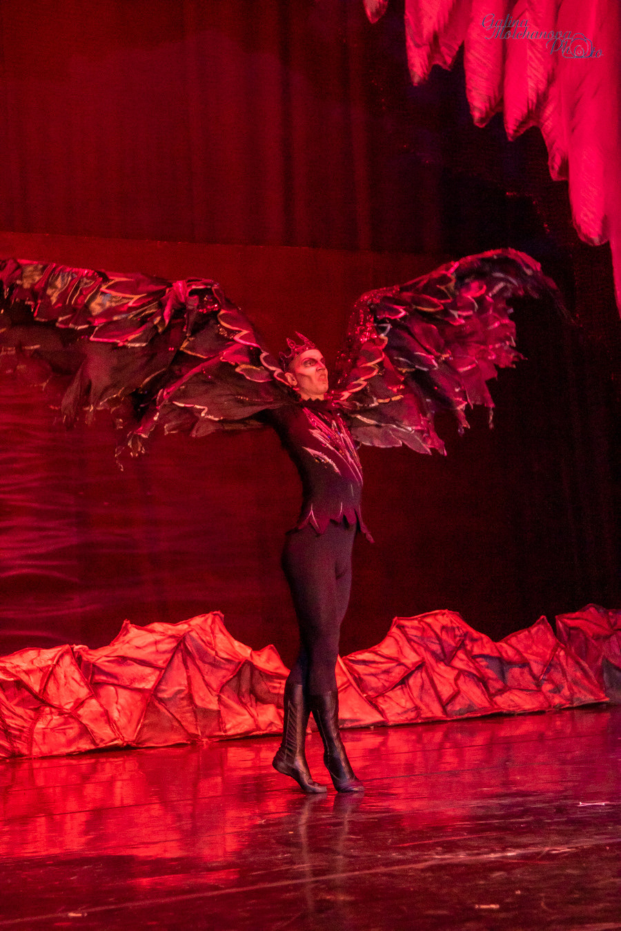 Летние Балетные Сезоны. Лебединое Озеро. Балетный фотограф в Москве Галина Молчанова