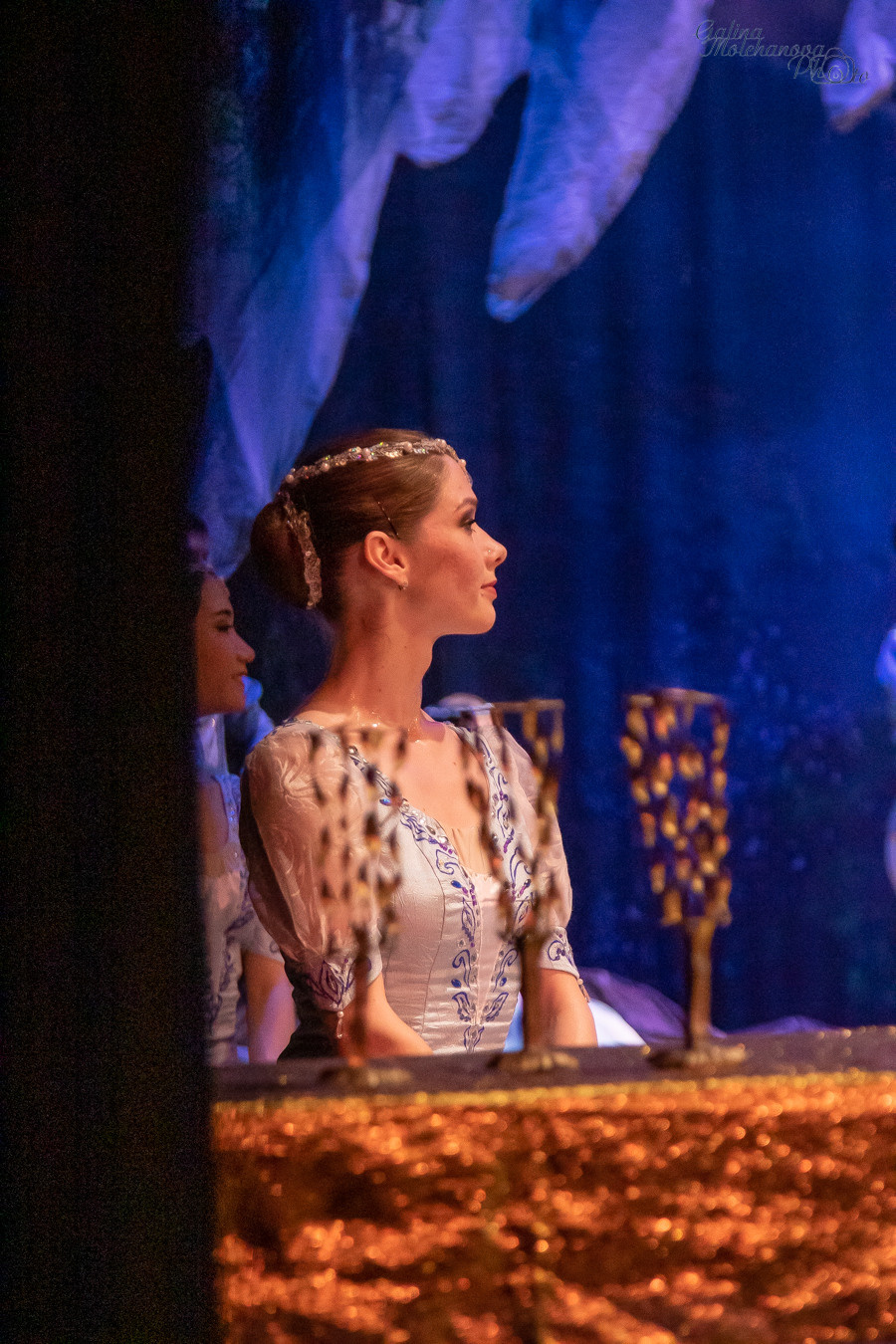 Летние Балетные Сезоны. Лебединое Озеро. Балетный фотограф в Москве Галина Молчанова