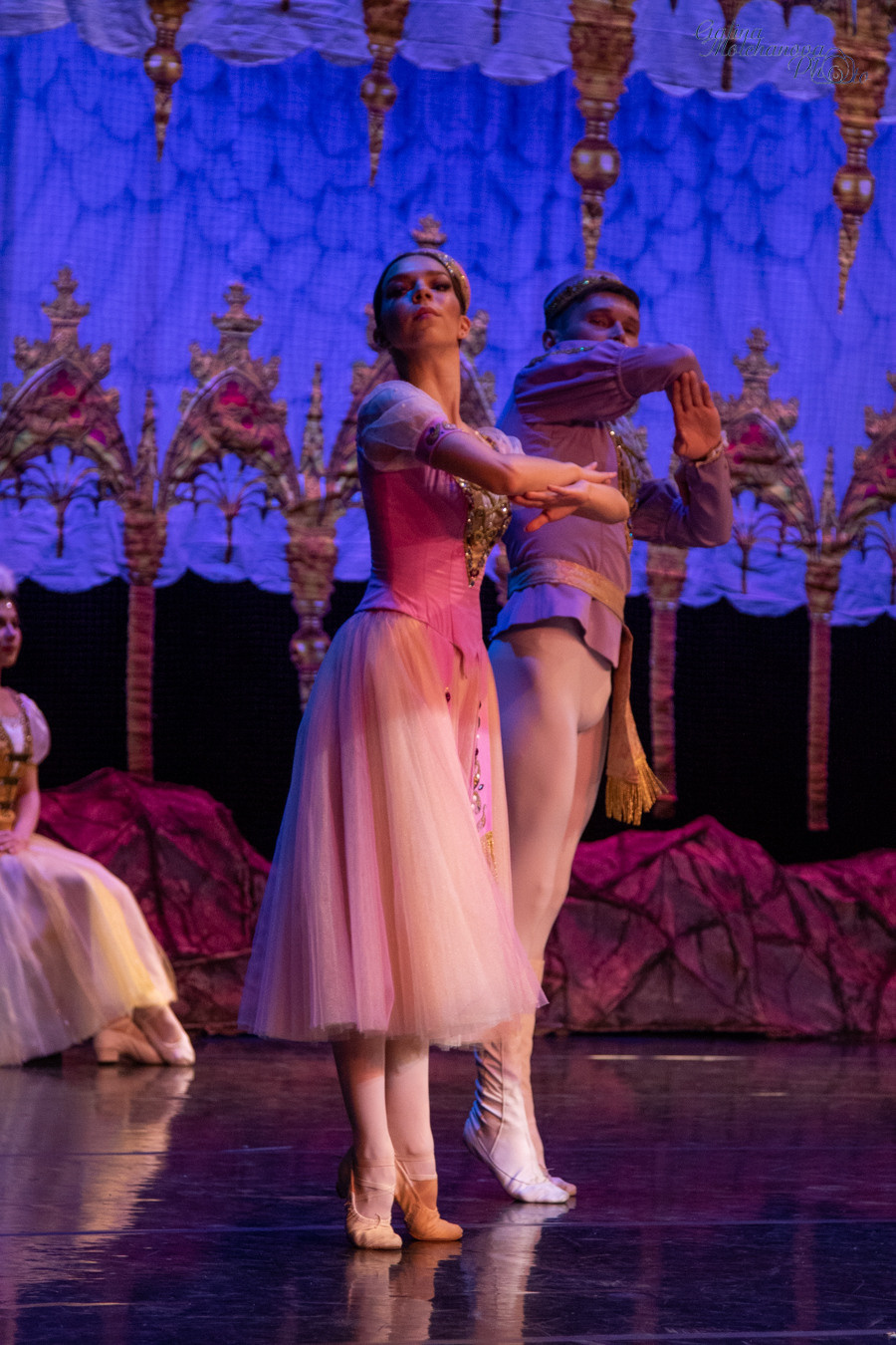 Летние Балетные Сезоны. Лебединое Озеро. Балетный фотограф в Москве Галина Молчанова