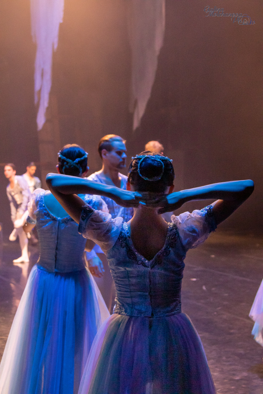 Летние Балетные Сезоны. Лебединое Озеро. Балетный фотограф в Москве Галина Молчанова