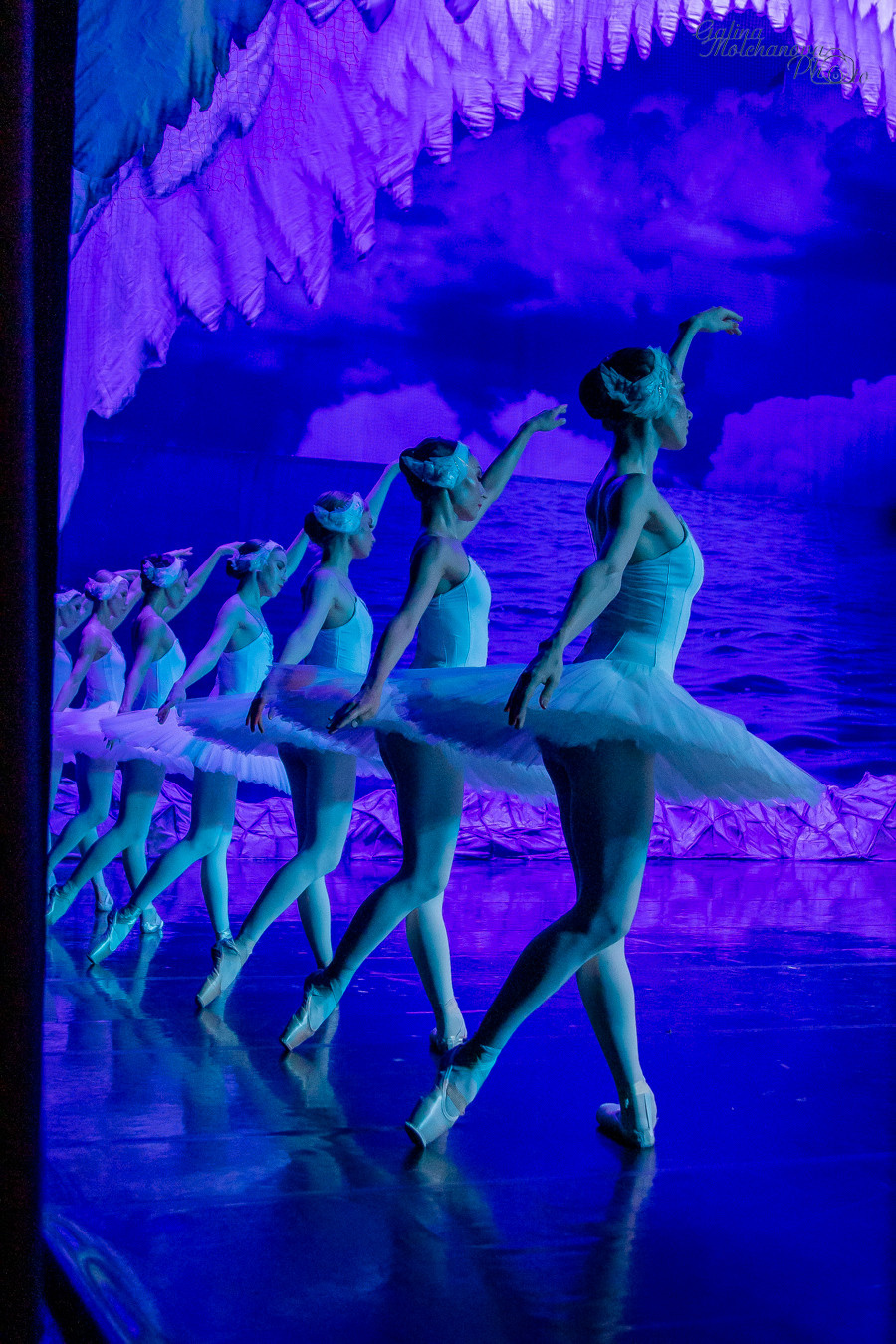Летние Балетные Сезоны. Лебединое Озеро. Балетный фотограф в Москве Галина Молчанова