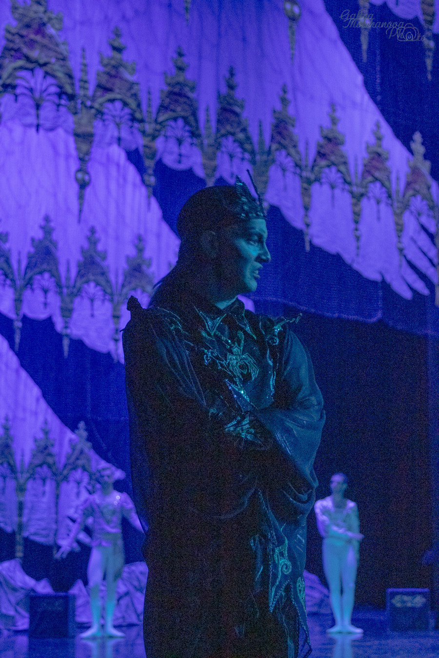 Летние Балетные Сезоны. Лебединое Озеро. Балетный фотограф в Москве Галина Молчанова