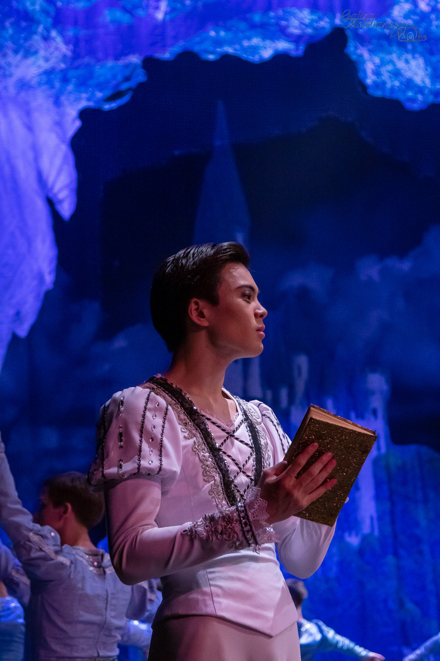 Летние Балетные Сезоны. Лебединое Озеро. Балетный фотограф в Москве Галина Молчанова