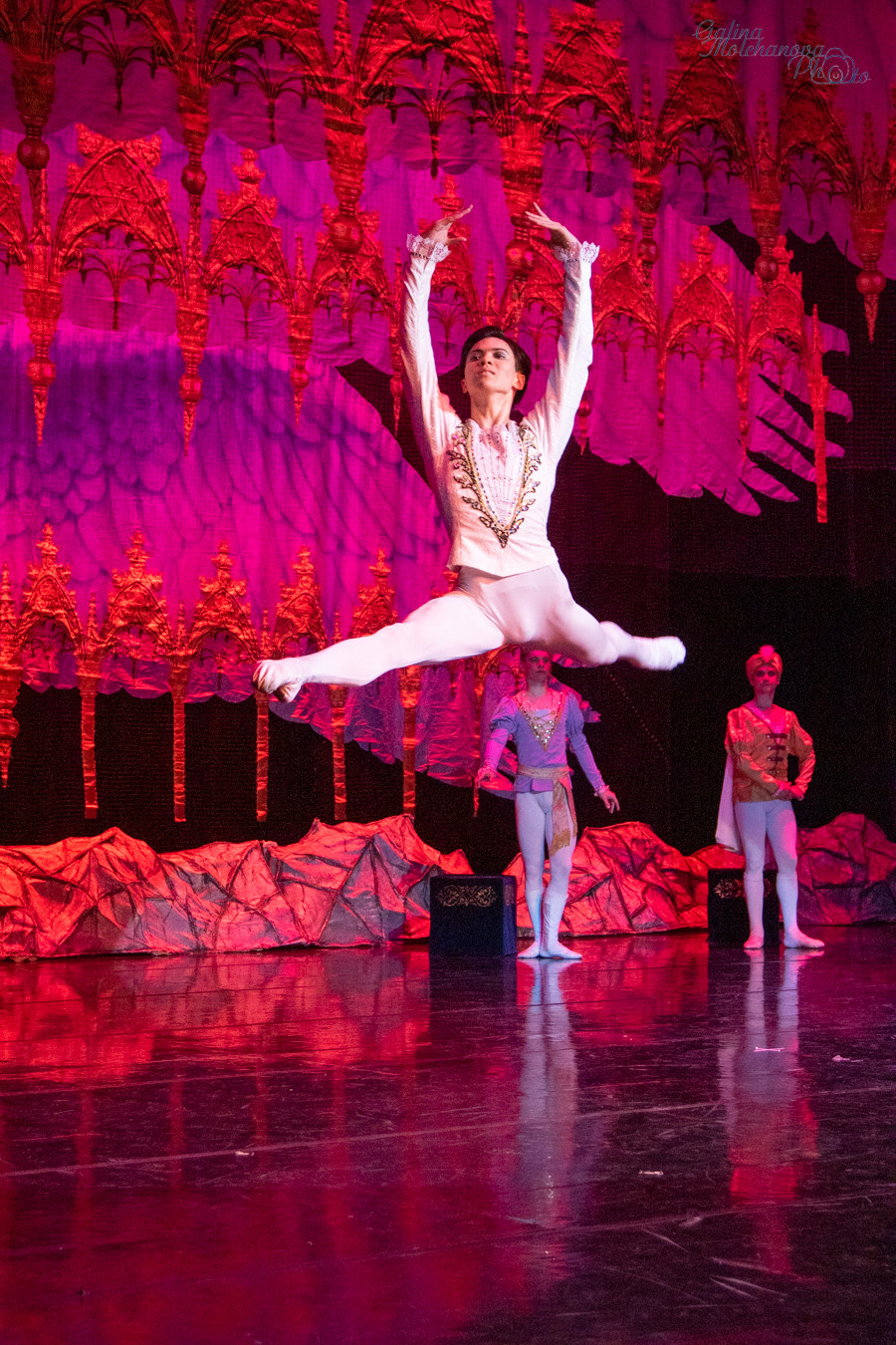 Летние Балетные Сезоны. Лебединое Озеро. Балетный фотограф в Москве Галина Молчанова