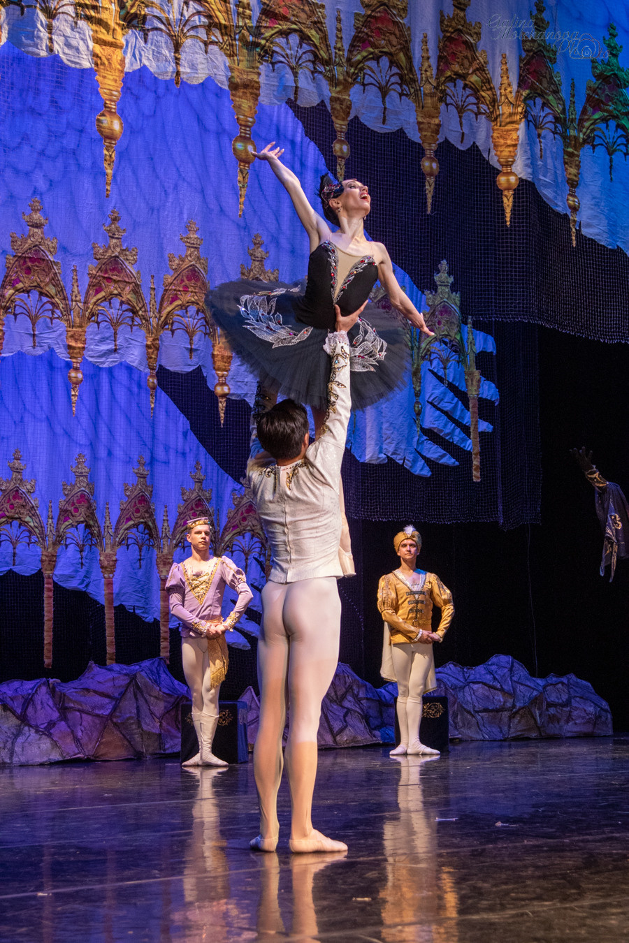 Летние Балетные Сезоны. Лебединое Озеро. Балетный фотограф в Москве Галина Молчанова