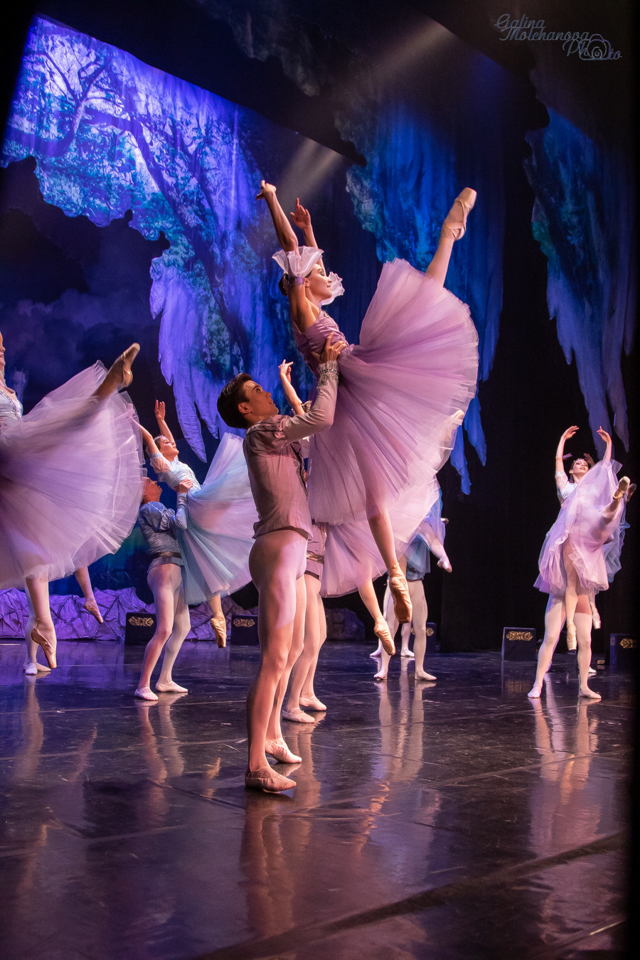 Летние Балетные Сезоны. Лебединое Озеро. Балетный фотограф в Москве Галина Молчанова