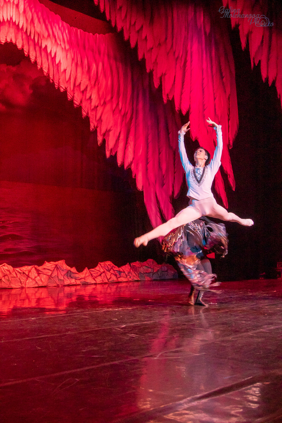 Летние Балетные Сезоны. Лебединое Озеро. Балетный фотограф в Москве Галина Молчанова