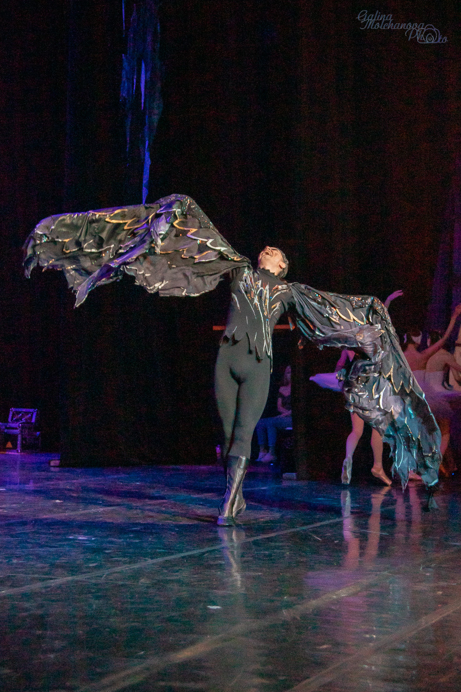 Летние Балетные Сезоны. Лебединое Озеро. Балетный фотограф в Москве Галина Молчанова