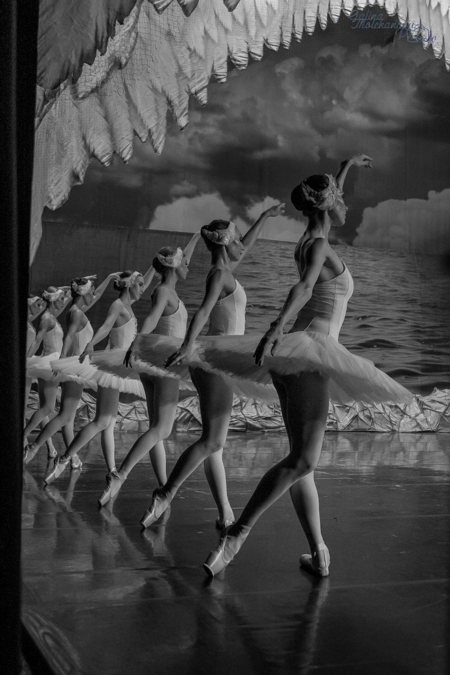 Летние Балетные Сезоны. Лебединое Озеро. Балетный фотограф в Москве Галина Молчанова