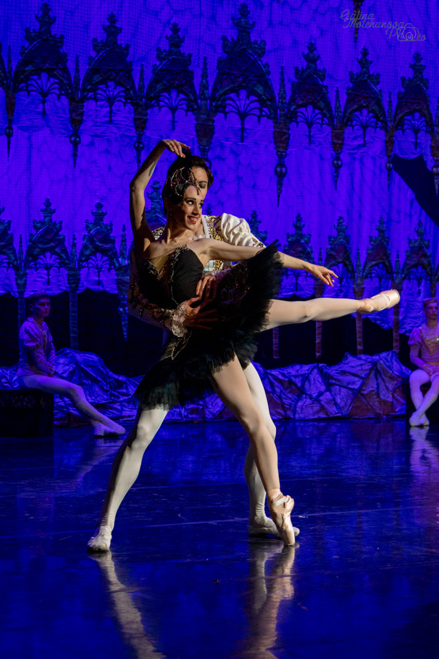 Летние Балетные Сезоны. Лебединое Озеро. Балетный фотограф в Москве Галина Молчанова