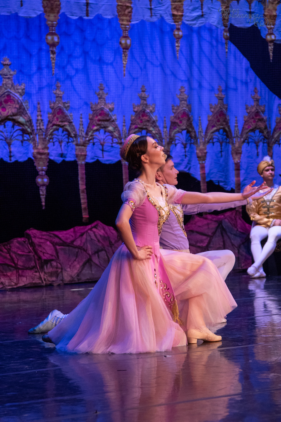 Летние Балетные Сезоны. Лебединое Озеро. Балетный фотограф в Москве Галина Молчанова