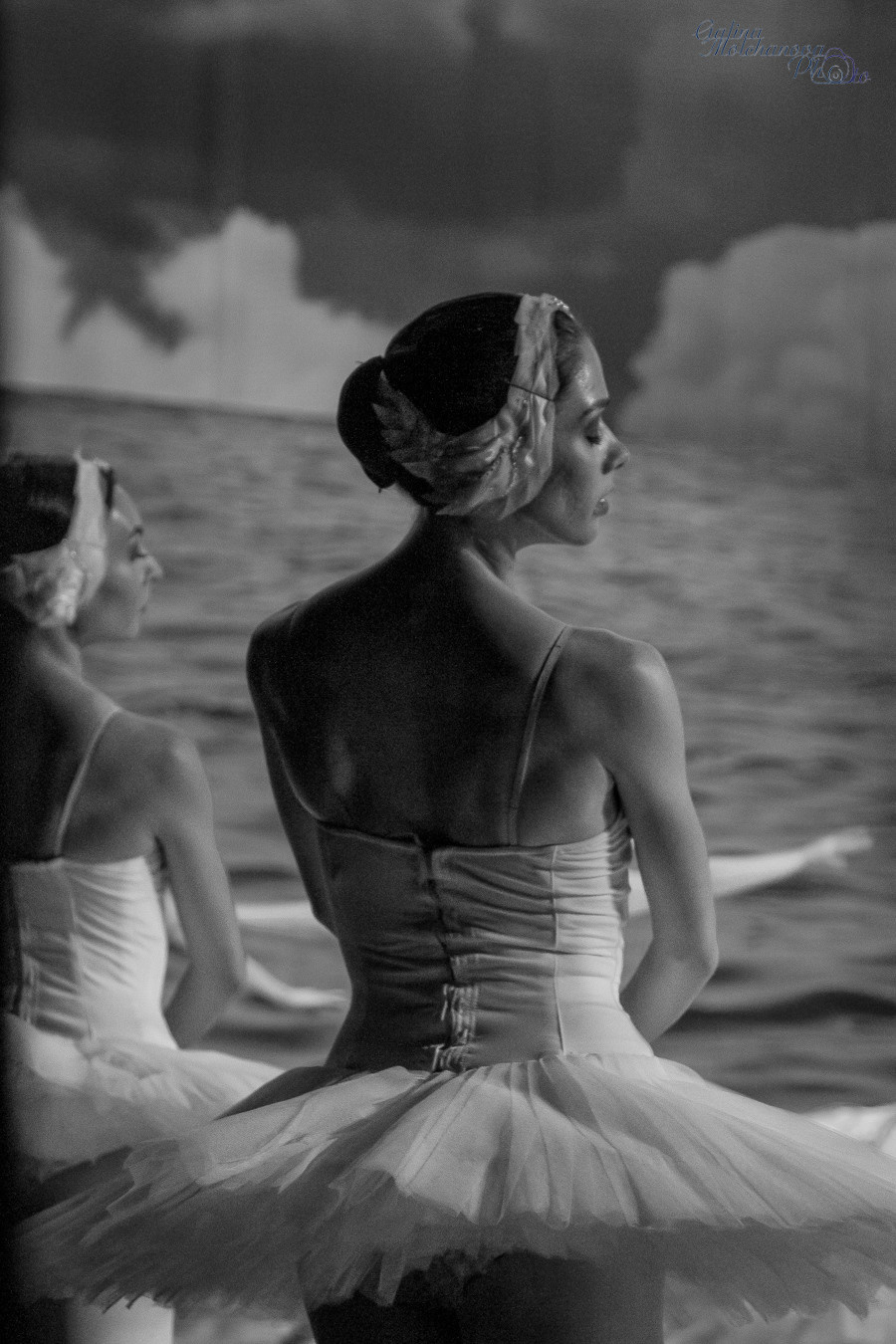 Летние Балетные Сезоны. Лебединое Озеро. Балетный фотограф в Москве Галина Молчанова