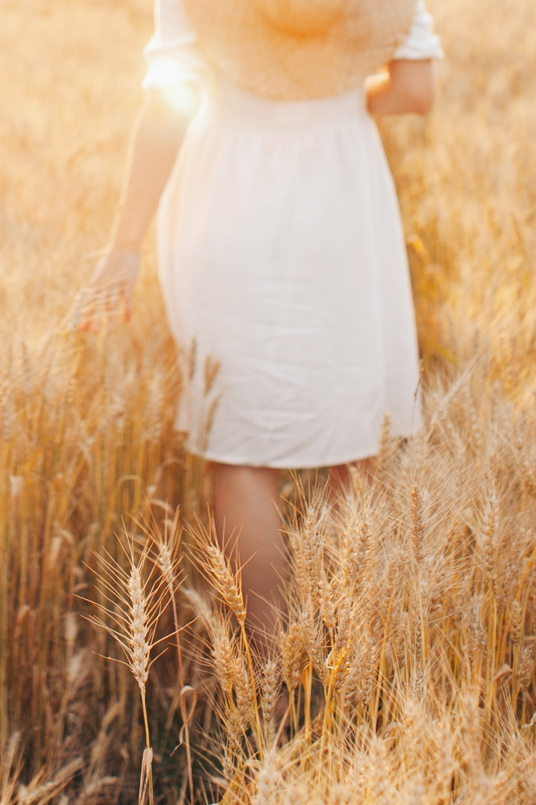 Семейная фотосессия в поле на закате. Фотограф Ольга Ефремова