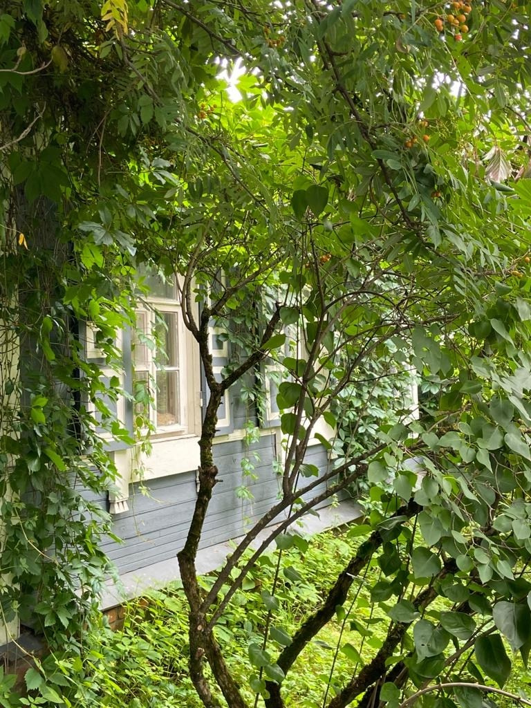 Звенигород | 29.06.2023. Галерея Фантим