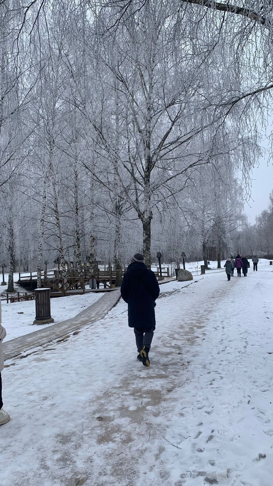 Кострома | 08-09.02.2025. Галерея Фантим