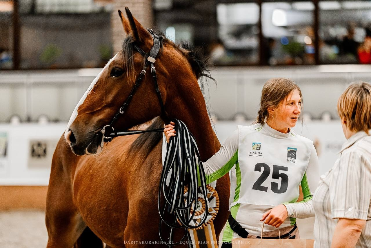 Ринг-выводка тяжелоупряжных пород ТИТАНЫ КОННОГО МИРА в рамках 9-й МЕЖДУНАРОДНОЙ ВЫСТАВКИ КОННАЯ РОССИЯ. Конный фотограф Куракина Дарья • Фотосессии с лошадьми