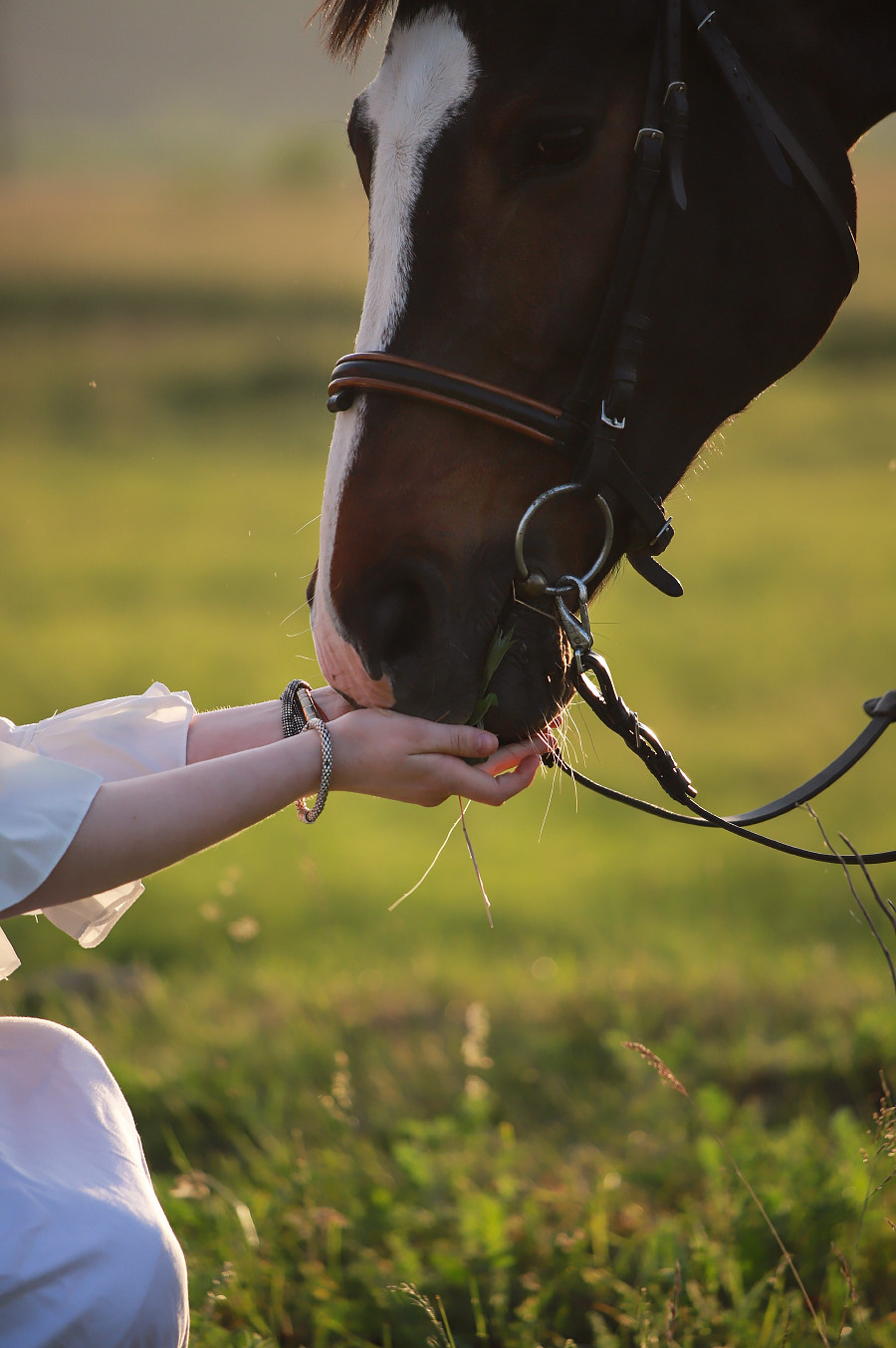 Анастасия. Фотограф Москва и МО Анастасия Пясковская
