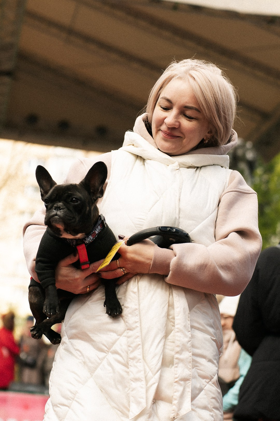 Парад Бульдогов. Axenov_eugene