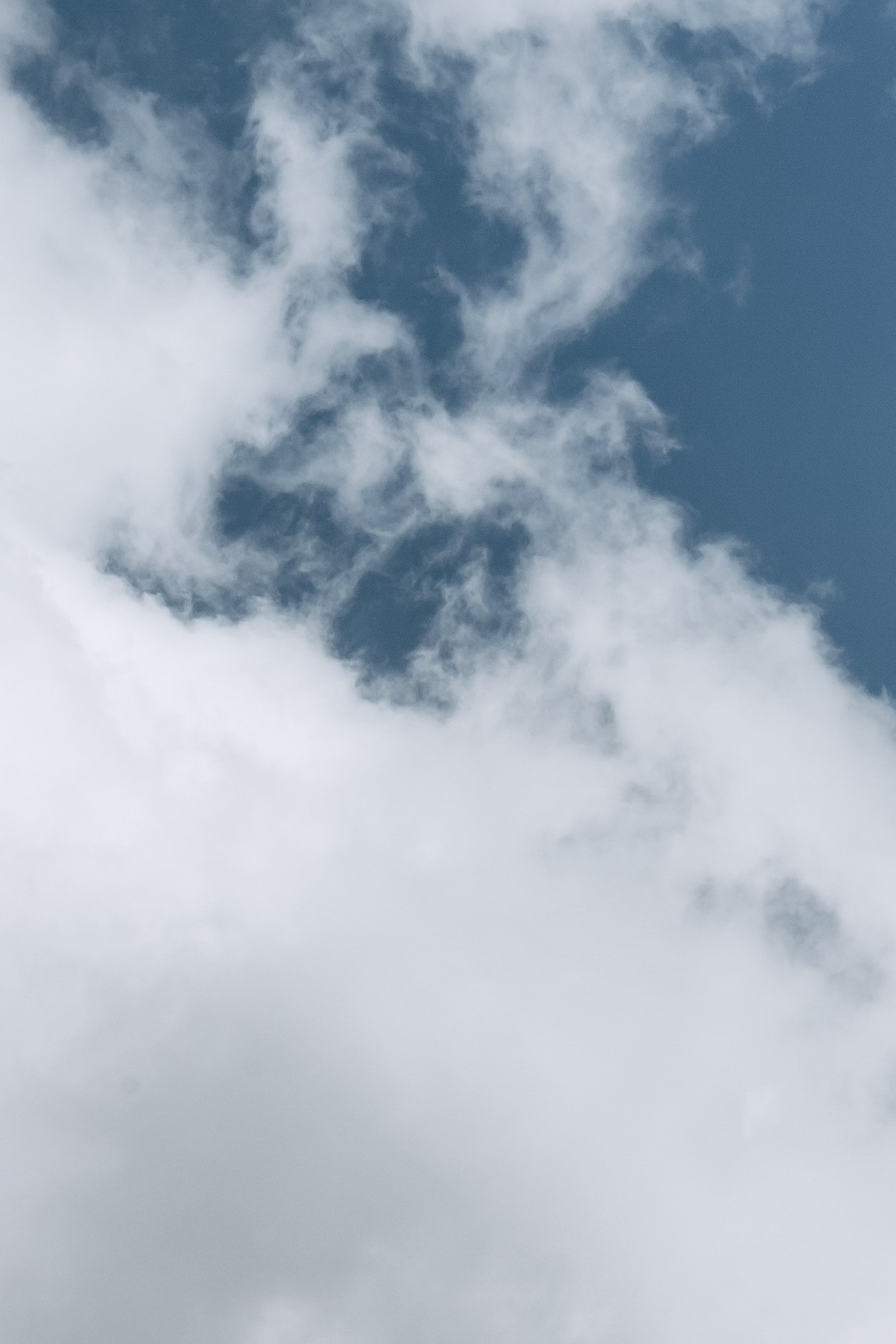 Where tulips meet birch trees. Wedding & Documentary Photographer based in Nuremberg — available across Europe & Turkey | Vitalii Nasonov